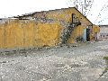 Spaziergang am und im Ostragehege
