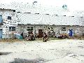 Spaziergang am und im Ostragehege