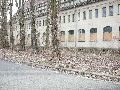 Spaziergang am und im Ostragehege