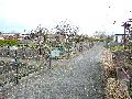 Spaziergang am und im Ostragehege
