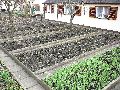 Spaziergang am und im Ostragehege