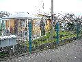 Spaziergang am und im Ostragehege