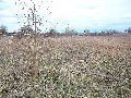 Spaziergang am und im Ostragehege
