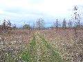 Spaziergang am und im Ostragehege