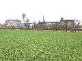 Spaziergang am und im Ostragehege