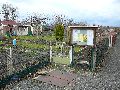 Spaziergang am und im Ostragehege