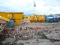 Spaziergang am und im Ostragehege
