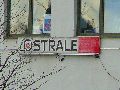 Spaziergang am und im Ostragehege