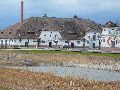 Spaziergang am und im Ostragehege