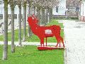 Spaziergang am und im Ostragehege