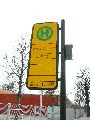 Spaziergang am und im Ostragehege