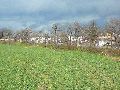 Spaziergang am und im Ostragehege