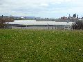 Spaziergang am und im Ostragehege