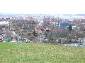 Spaziergang am und im Ostragehege