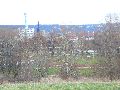 Spaziergang am und im Ostragehege