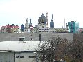 Spaziergang am und im Ostragehege