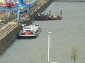 Spaziergang am und im Ostragehege
