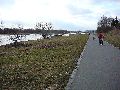 Spaziergang von Freiraum Elbtal-Marienbrücke,Elbwärts