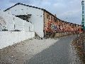 Spaziergang von Freiraum Elbtal-Marienbrücke,Elbwärts