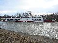 Spaziergang von Freiraum Elbtal-Marienbrücke,Elbwärts