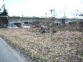 Spaziergang von Freiraum Elbtal-Marienbrücke,Elbwärts