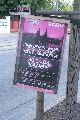 Wahlplakate und Anderes