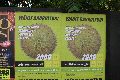 Wahlplakate und Anderes