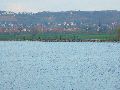 Spaziergang von Niederwartha- Cossebaude-Gohlis- Stetzsch-Briesnitz- Cotta, längs der Buslinie 94