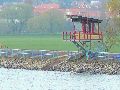 Spaziergang von Niederwartha- Cossebaude-Gohlis- Stetzsch-Briesnitz- Cotta, längs der Buslinie 94