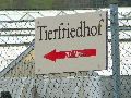 Spaziergang von Niederwartha- Cossebaude-Gohlis- Stetzsch-Briesnitz- Cotta, längs der Buslinie 94