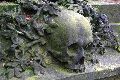 Friedhof, 2008-2009