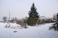 Winterspaziergang von Pieschen-Waldschlößchen-Brückenbaustelle