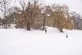 Winterspaziergang von Pieschen-Waldschlößchen-Brückenbaustelle