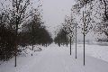 Winterspaziergang von Pieschen-Waldschlößchen-Brückenbaustelle