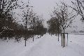 Winterspaziergang von Pieschen-Waldschlößchen-Brückenbaustelle