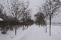Winterspaziergang von Pieschen-Waldschlößchen-Brückenbaustelle