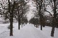 Winterspaziergang von Pieschen-Waldschlößchen-Brückenbaustelle