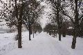 Winterspaziergang von Pieschen-Waldschlößchen-Brückenbaustelle