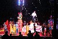 Zirkus Krone, hier sitzen Sie in der 3.Reihe