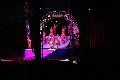 Zirkus Krone, hier sitzen Sie in der 3.Reihe