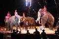 Zirkus Krone, hier sitzen Sie in der 3.Reihe