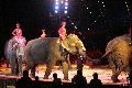 Zirkus Krone, hier sitzen Sie in der 3.Reihe