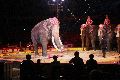 Zirkus Krone, hier sitzen Sie in der 3.Reihe