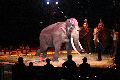 Zirkus Krone, hier sitzen Sie in der 3.Reihe