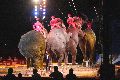 Zirkus Krone, hier sitzen Sie in der 3.Reihe