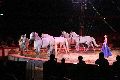 Zirkus Krone, hier sitzen Sie in der 3.Reihe