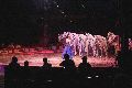 Zirkus Krone, hier sitzen Sie in der 3.Reihe