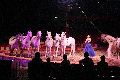 Zirkus Krone, hier sitzen Sie in der 3.Reihe