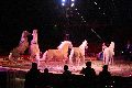 Zirkus Krone, hier sitzen Sie in der 3.Reihe