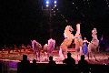 Zirkus Krone, hier sitzen Sie in der 3.Reihe